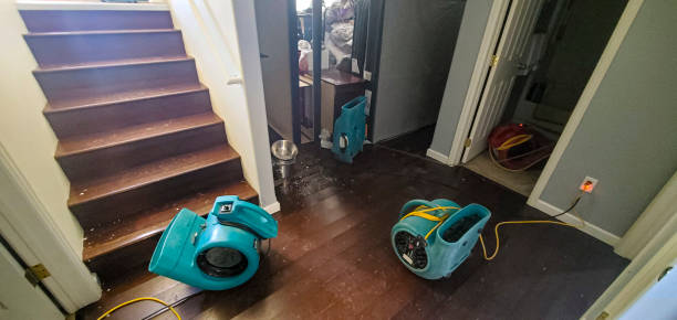 Best 24-hour water damage restoration  in Smoke Rise, AL