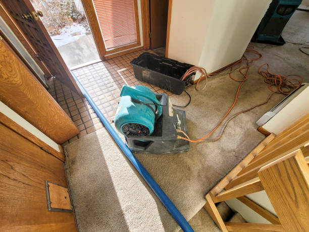 Best Basement water damage restoration  in Smoke Rise, AL