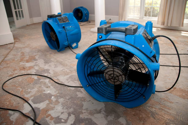 Best Water damage restoration near me  in Smoke Rise, AL