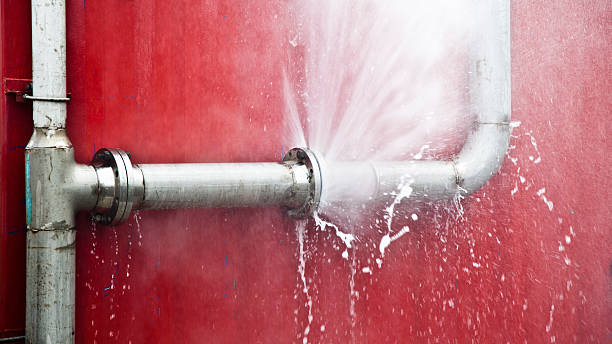 Best Water damage cleanup near me  in Smoke Rise, AL